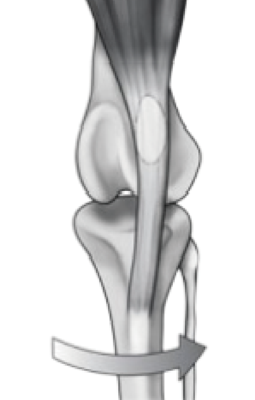 05a358632c9e67b05e8bf9861e564361_1776126925_6926.png