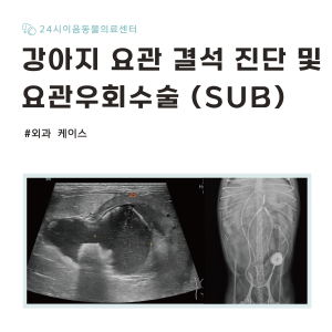 [케이스 리포트] 요관 결석 증례: 요관우회수술(SUB) 적용 사례