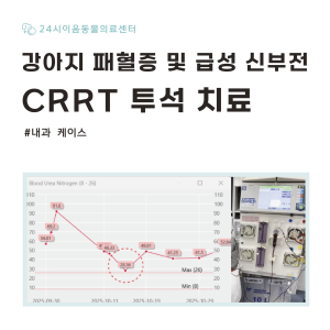 [케이스 리포트] 강아지 패혈증으로 인한 급성 신부전: CRRT 치료 적…