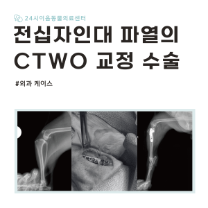 [케이스 리포트] 전십자인대 파열 증례: CTWO 수술 치료