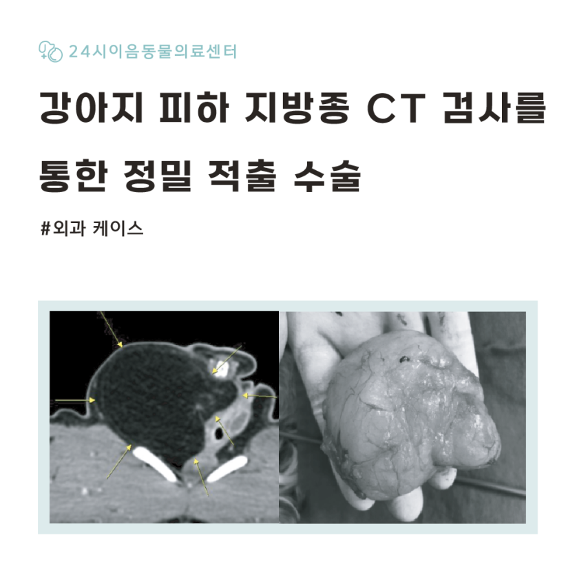 05a358632c9e67b05e8bf9861e564361_1776146522_5386.png