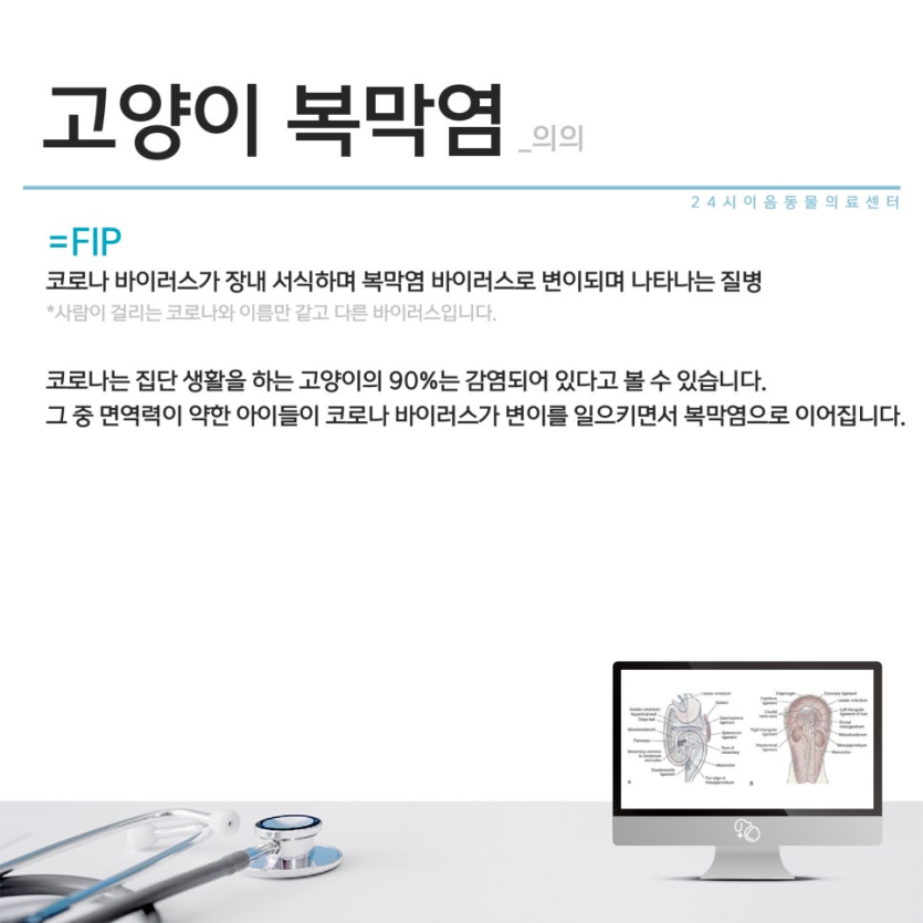 05a358632c9e67b05e8bf9861e564361_1776149417_9065.png
