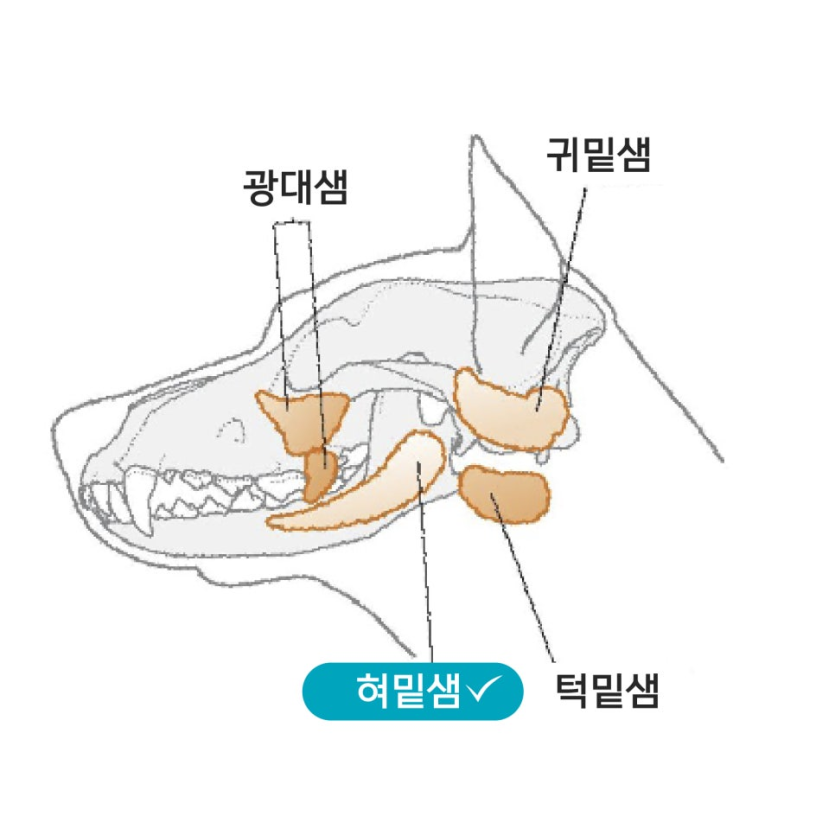 05a358632c9e67b05e8bf9861e564361_1776150380_5101.png