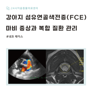[케이스 리포트] 강아지 섬유연골색전증(FCE): 마비 증상 및 복합 질…