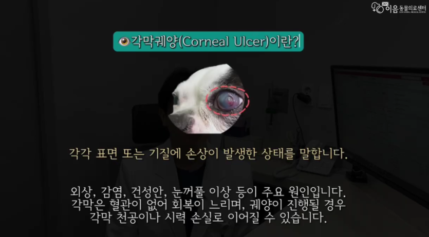 05a358632c9e67b05e8bf9861e564361_1776152032_5971.png