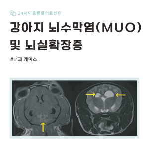 [케이스 리포트] 강아지 신경 증상을 유발한 뇌수막염(MOU) 증례: 면…
