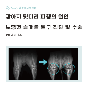 [케이스 리포트] 간헐적 파행을 유발한 노령견 슬개골 탈구 증례: 외과적…