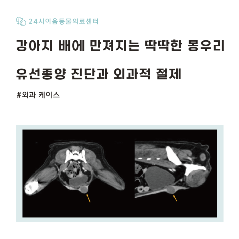 4407c7eb34184e2c345eb98b4a618b69_1776143281_8664.png