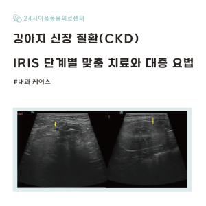 [케이스 리포트] 다음 다뇨를 유발한 만성 신부전(CKD) 증례: IRI…