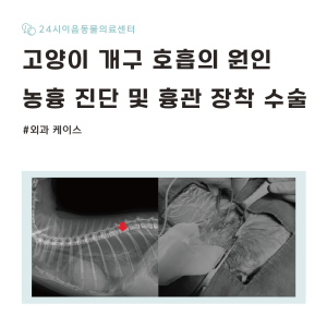 [케이스 리포트] 고양이 호흡 곤란을 유발한 농흉 증례: 흉강 세척 및 …
