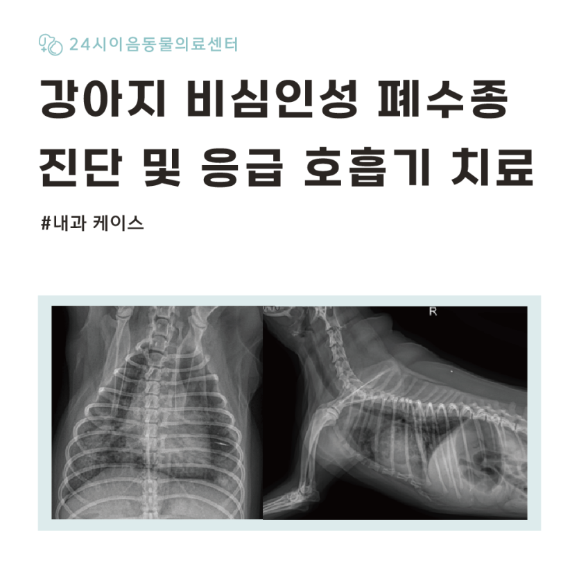 4407c7eb34184e2c345eb98b4a618b69_1776155335_0197.png