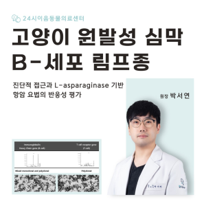 [케이스 리포트] 고양이 원발성 심막 B-세포 림프종: 진단적 접근과 L…
