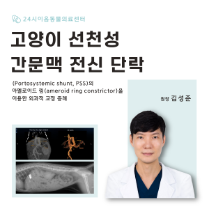 [케이스 리포트] 고양이 선천성 간문맥 전신 단락: (Portosyste…