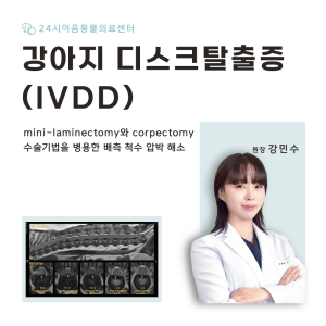 [케이스 리포트] 개 디스크탈출증(IVDD): mini-laminecto…