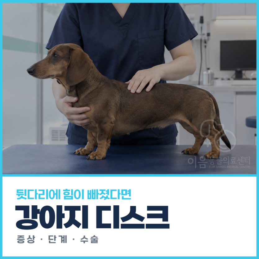 b54d26a3211be53b15490e99199c23d0.png
